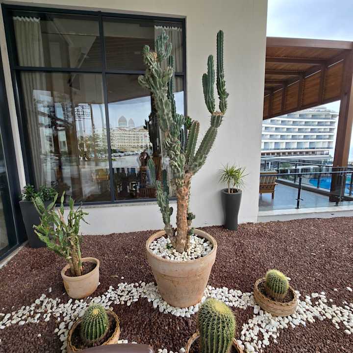 Außenansicht Seaden Quality Resort & Spa