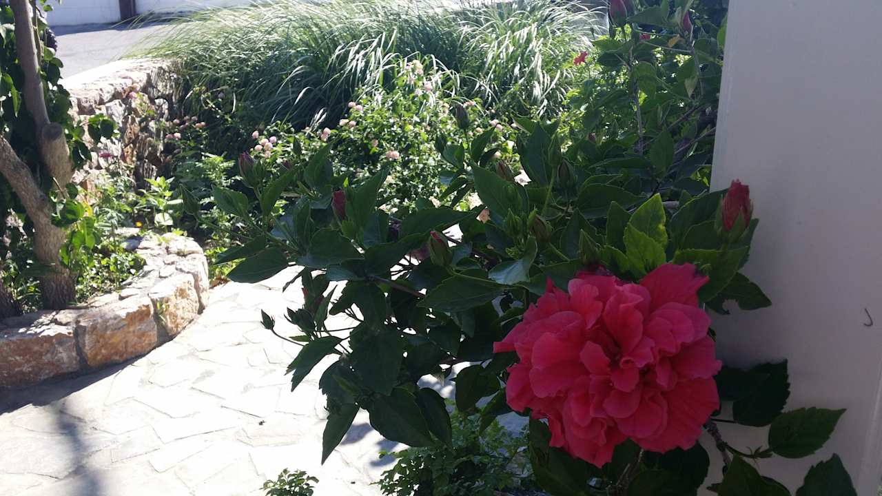 Gartenanlage Hotel Avra
