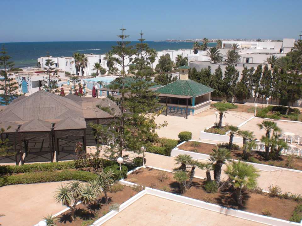 Ogród Hotel Amir Palace