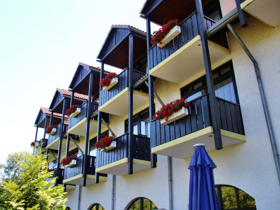 Göbel's Seehotel Diemelsee Göbel's Seehotel Diemelsee