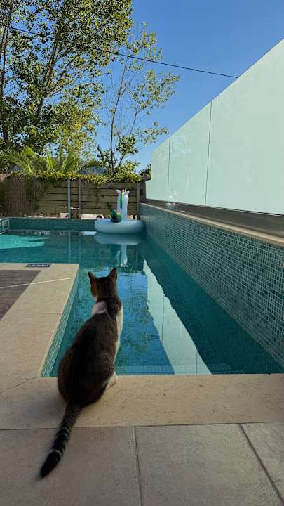 Pool Alexandra Golden Boutique - Adults only