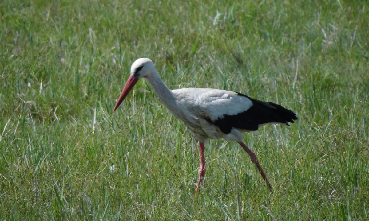Nachbarschaft Hotel VILA VITA Pannonia