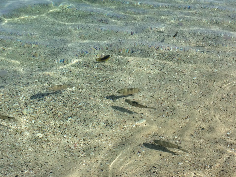 Strand Three Corners Sea Beach Resort