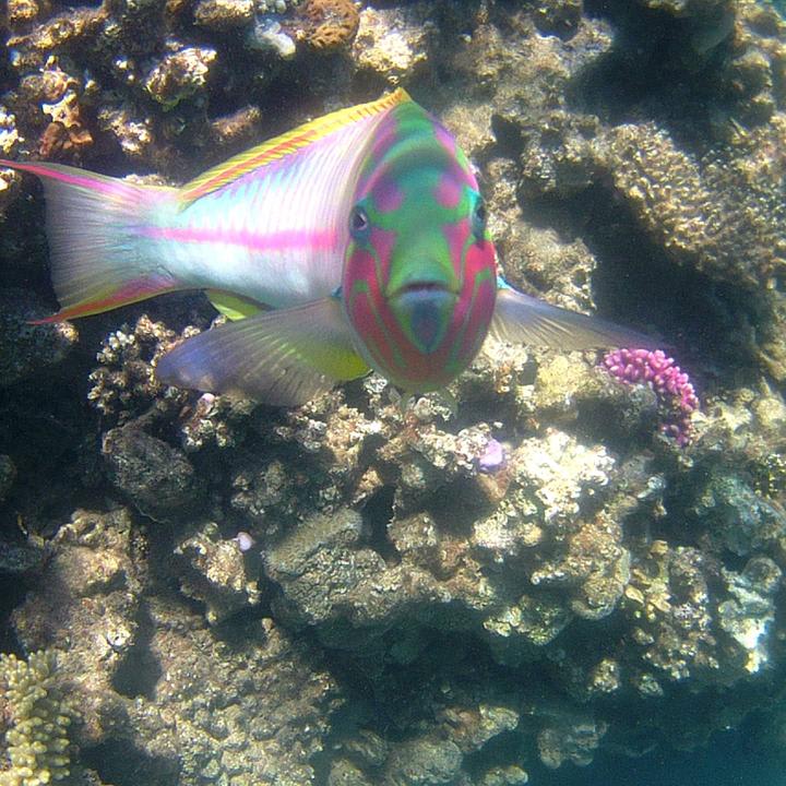 Strand Happy Life Village