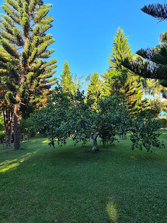 Gartenanlage Saphir Resort & Spa