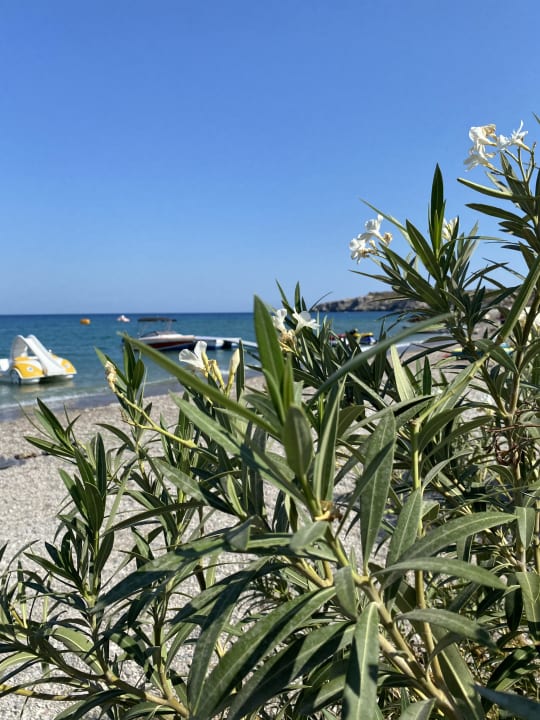 Strand Atlantica Mikri Poli Rhodes