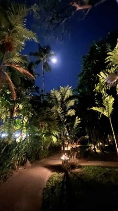 Gartenanlage The Fair House Beach Resort