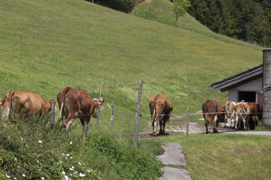 Gartenanlage Kilianhof