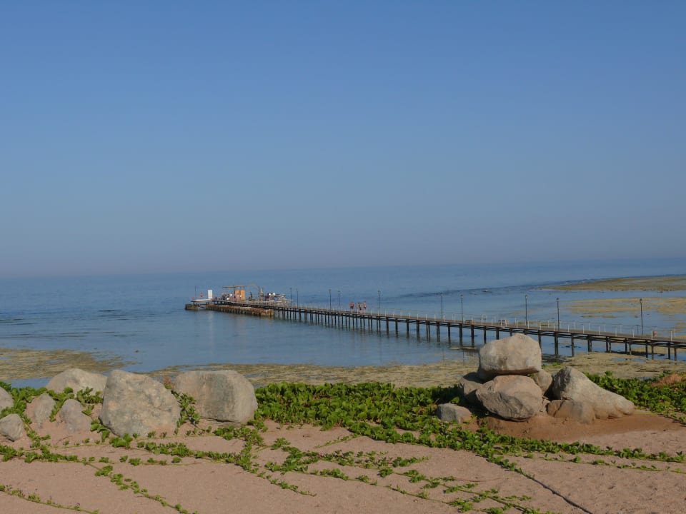 Blick auf den Steg TUI MAGIC LIFE Kalawy