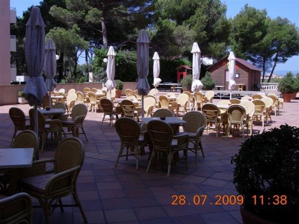 Bar-Aussen Grupotel Orient