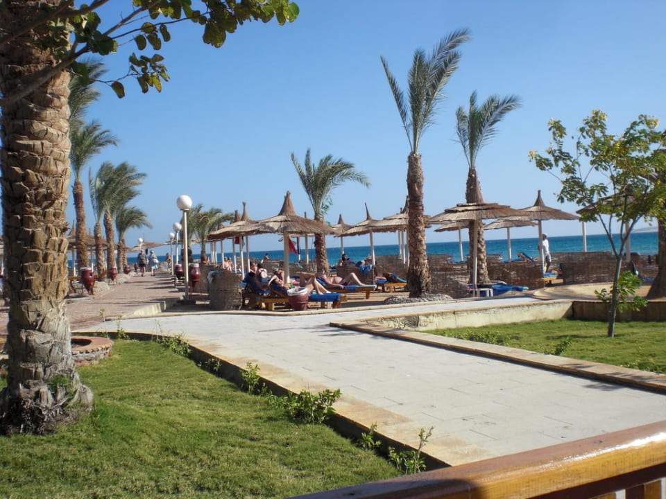 Hotel BEACH Albatros Resort & Spa Beach Albatros Resort