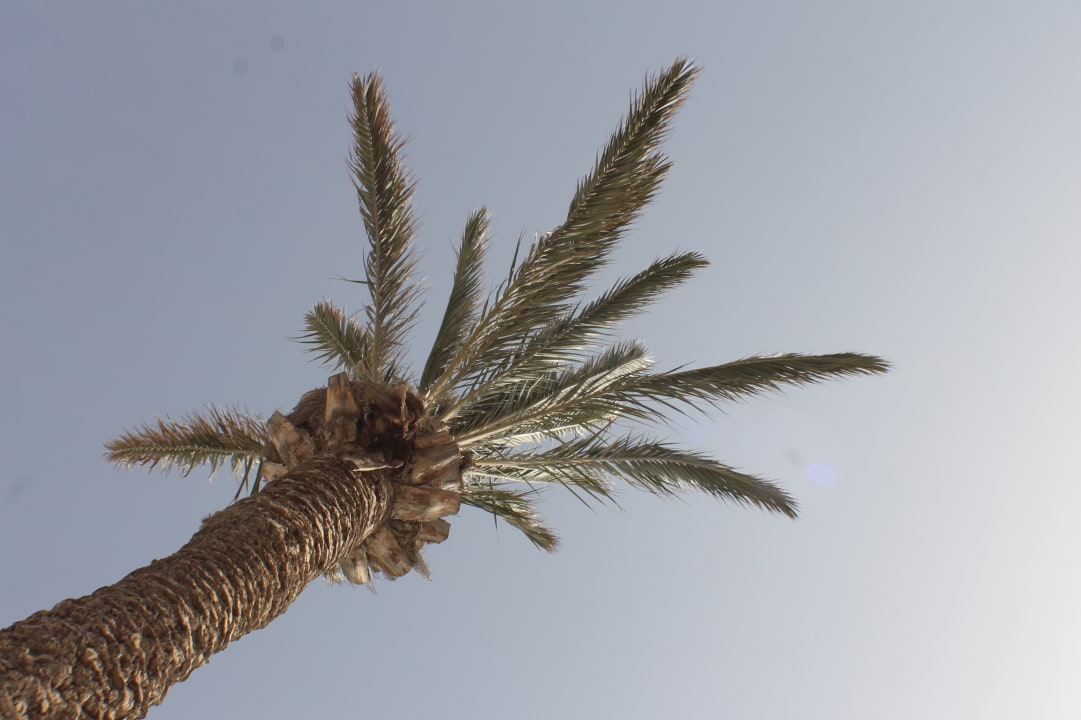 Sonstiges Bungalows & Appartements Playamar