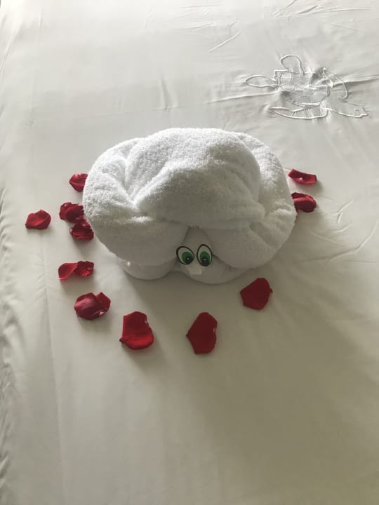 Zimmer Akumal Bay Beach & Wellness Resort