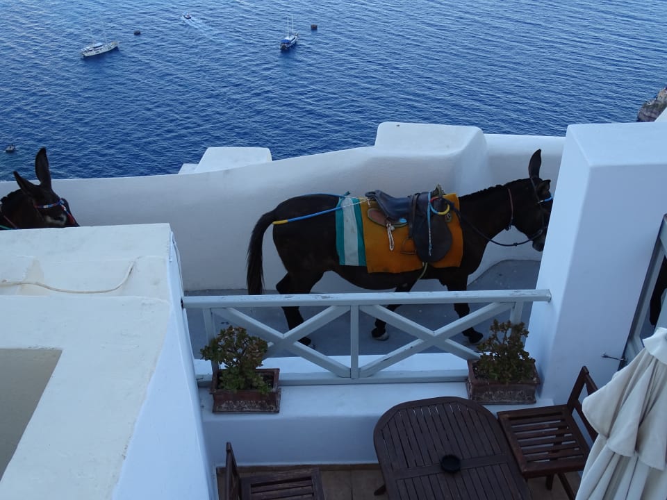 Ausblick Hotel Panorama Studios - Adults only
