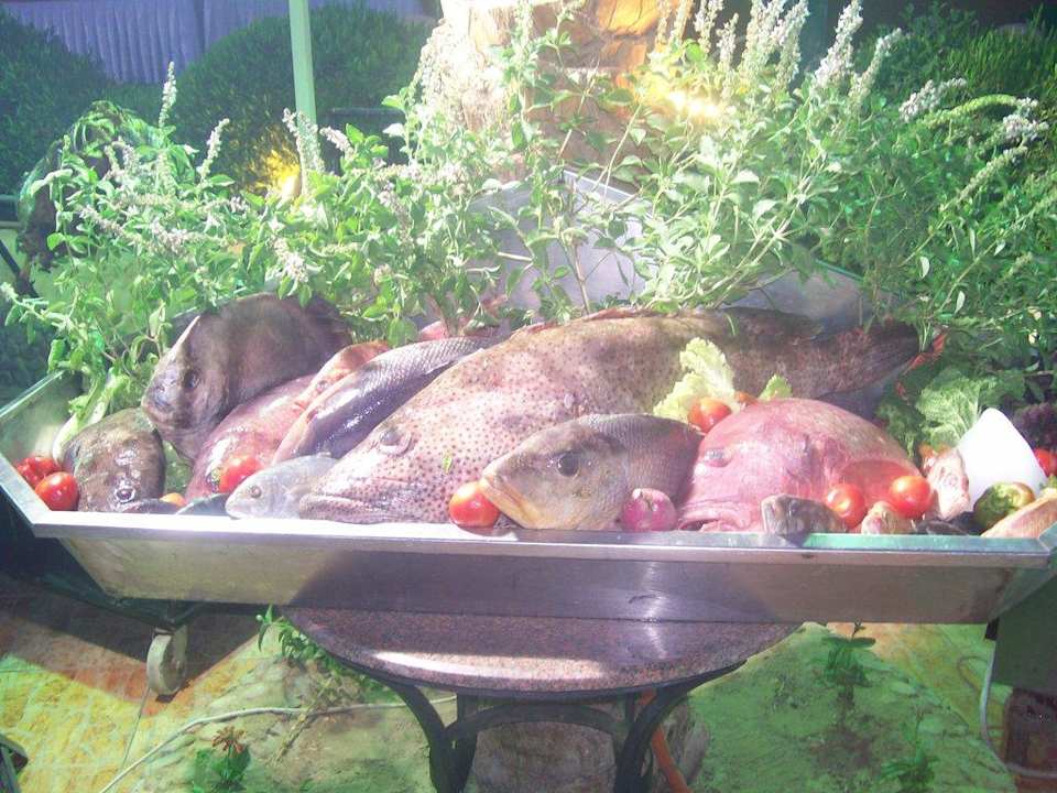 Restauracja Pickalbatros Alf Leila Wa Leila Resort - Neverland Hurghada