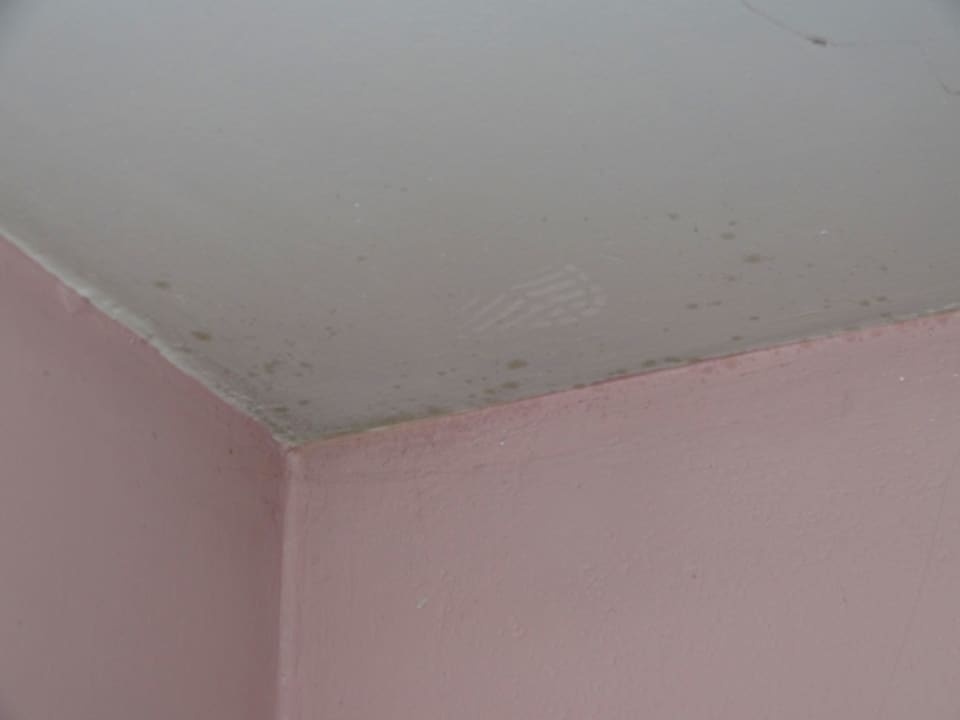 Zimmerdecke / Stockflecke Landhotel Koller