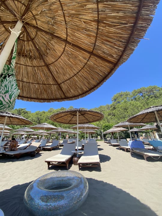Strand TUI BLUE Seno - Adults Only
