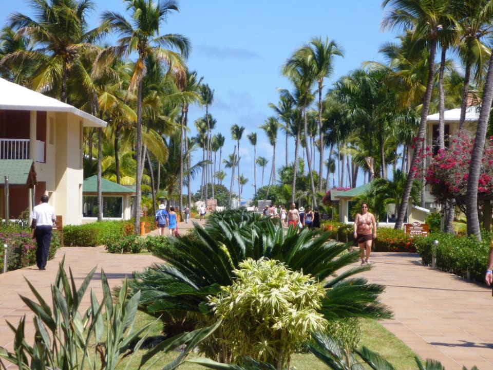 Weg vom Hotel Richtung Strand Grand Sirenis Punta Cana Resort & Aquagames