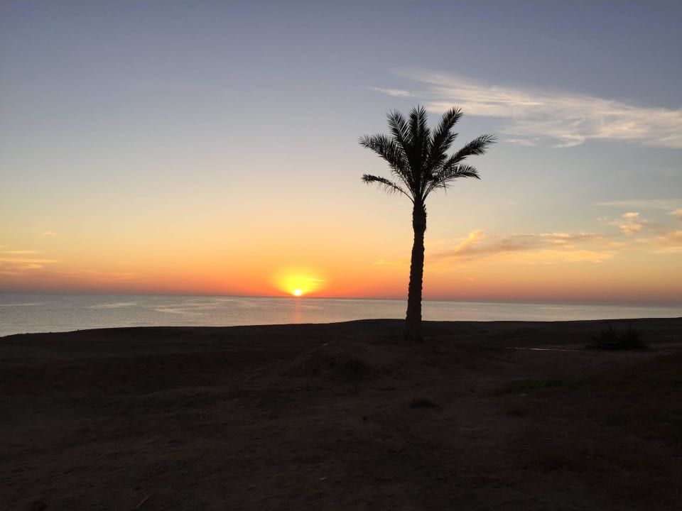 Sonnenaufgang von der Tauchbausis, diving.de  Malikia Resort Abu Dabbab