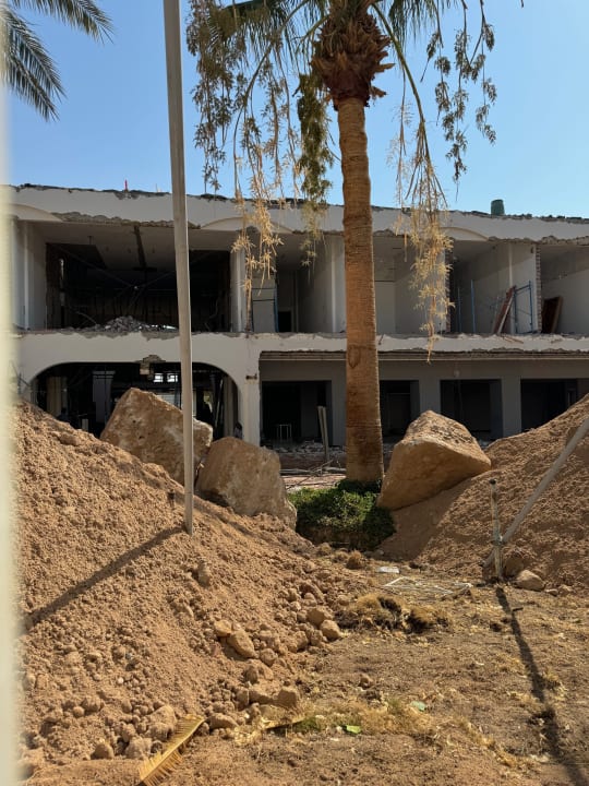 Sonstiges Desert Rose