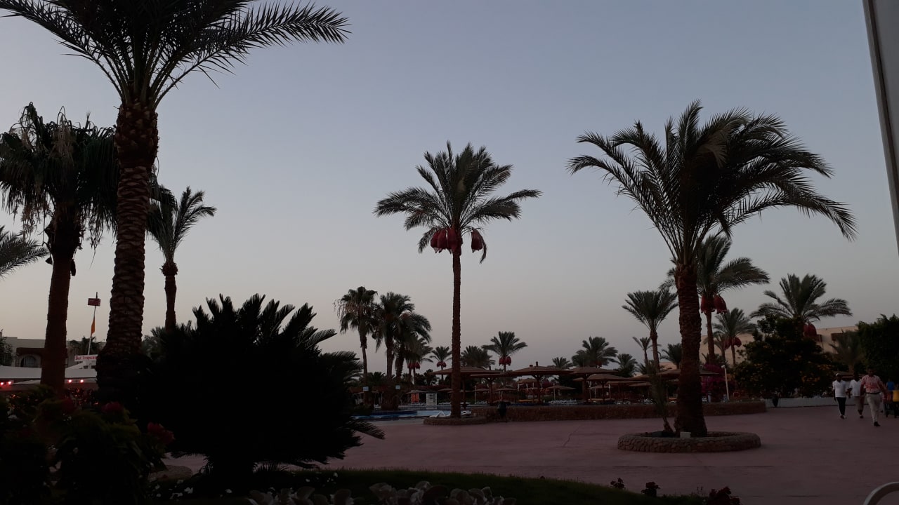 Außenansicht Desert Rose