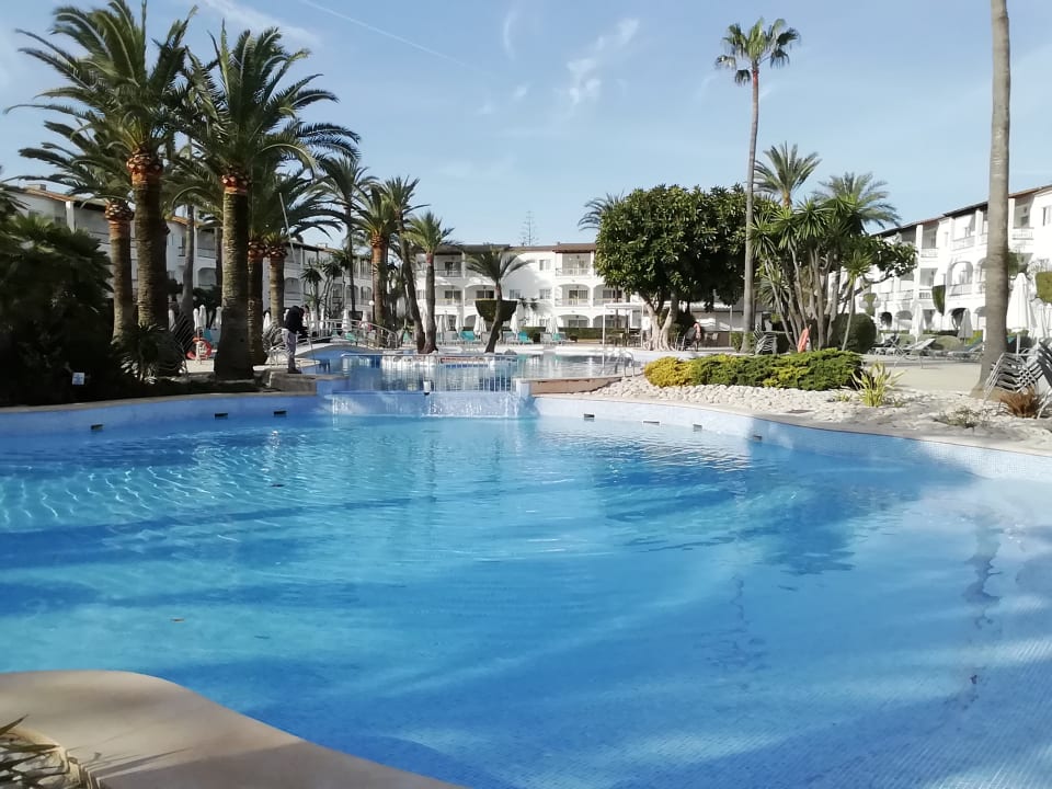 Pool Alcudia Garden Aparthotel