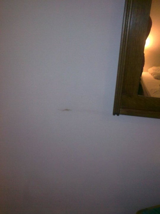 Wände im Zimmer 22 Hotel Schwabenwirt