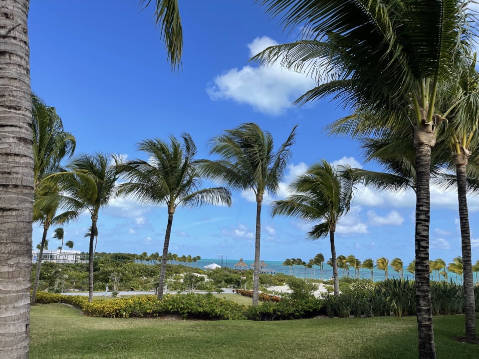 Ausblick Hotel Riu Palace Costa Mujeres