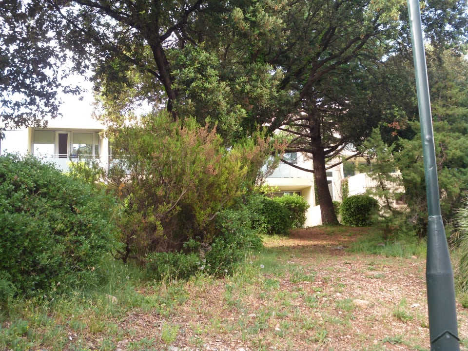 Gartenanlage Valamar Argosy Hotel