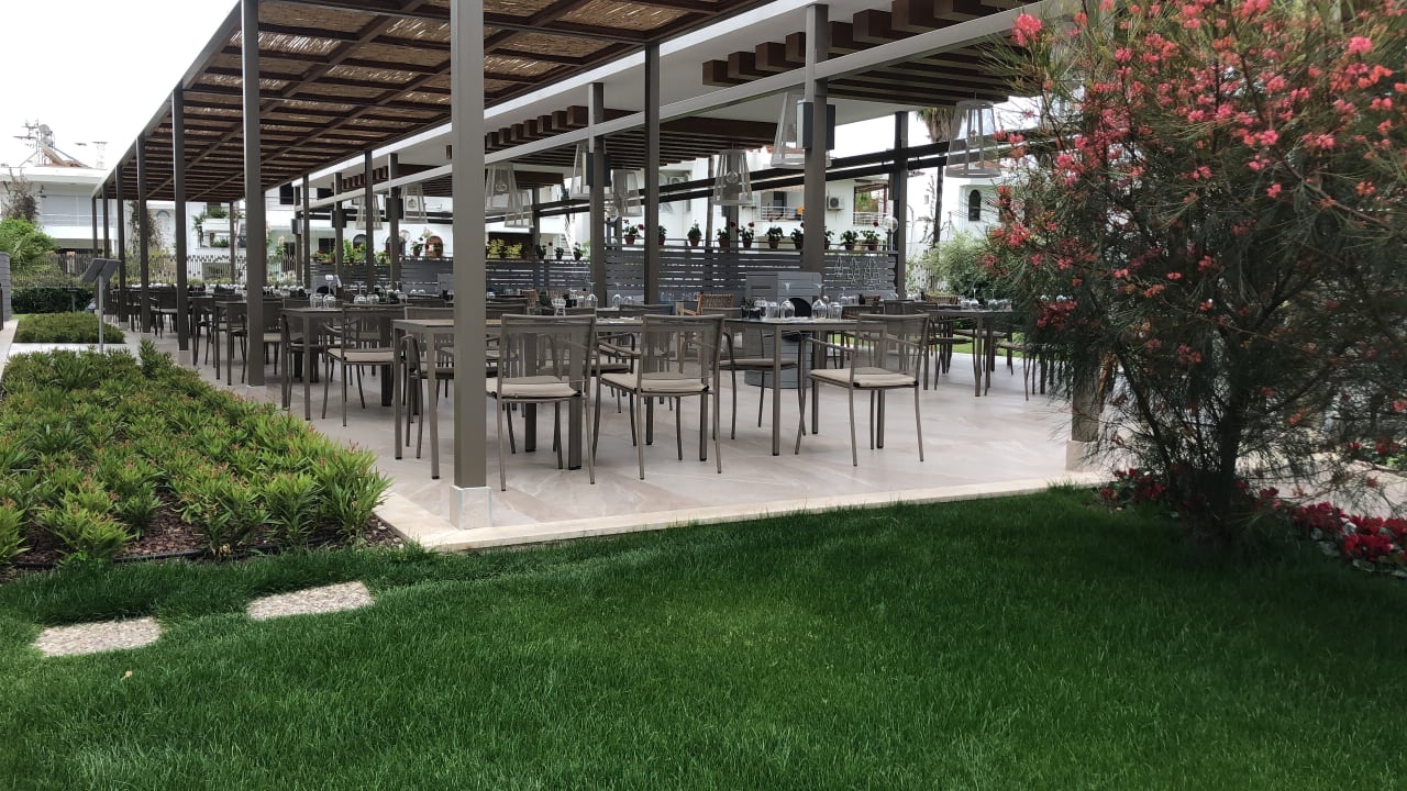 Gastro Acanthus Cennet Barut Collection