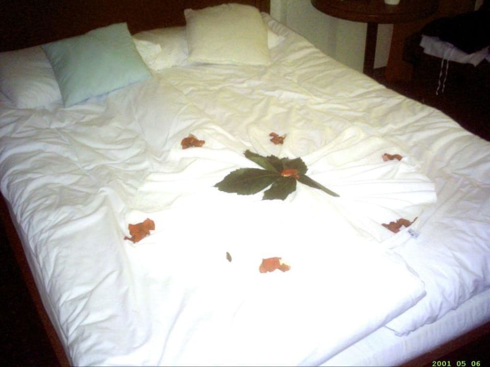 Zimmer Botanik Hotel & Resort