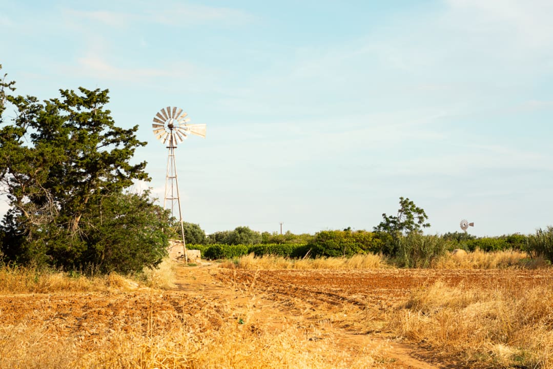 Sonstiges SunConnect Rising Star