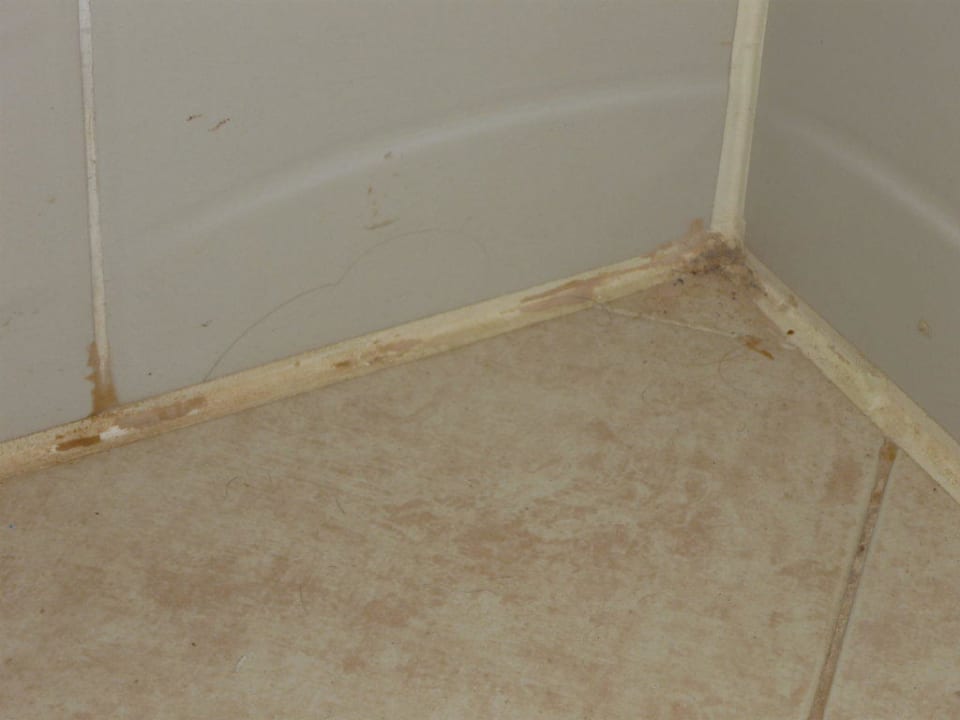 Bad Imperial Shams Abu Soma