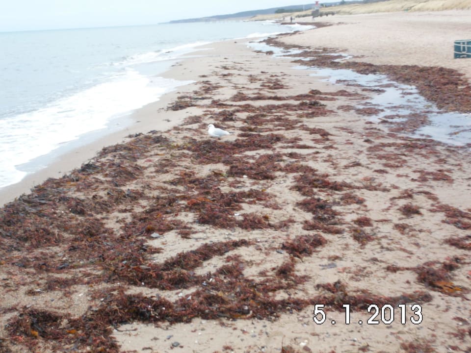 Strand Ferienwohnungen Ferienpark Weissenhäuser Strand