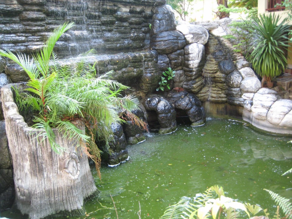 Teich Havana Beach Resort