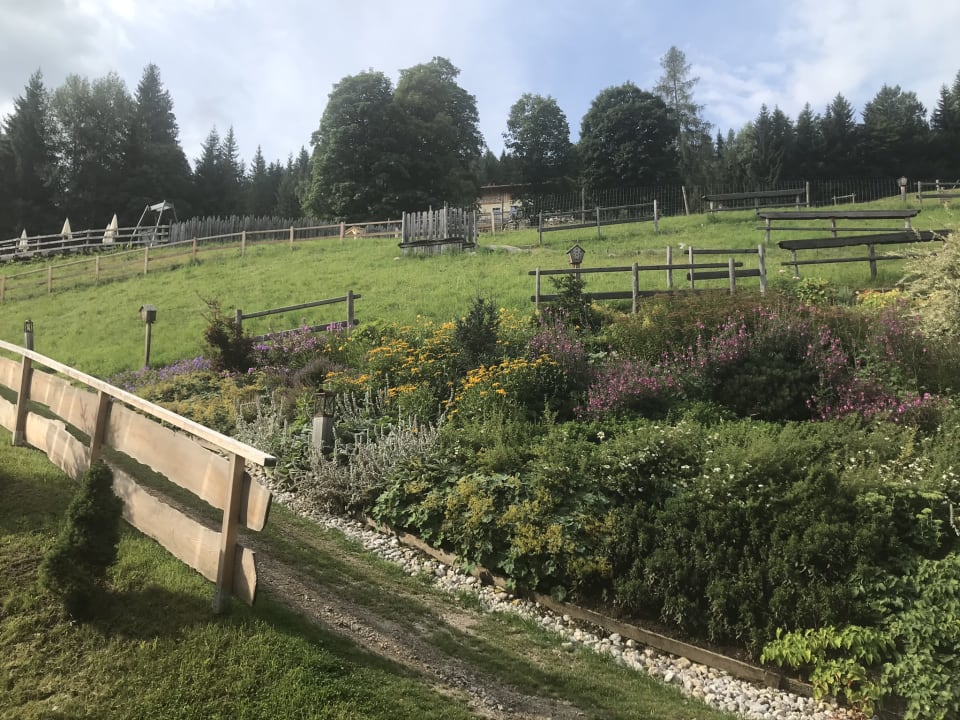 Gartenanlage Natur & Wellnesshotel Höflehner