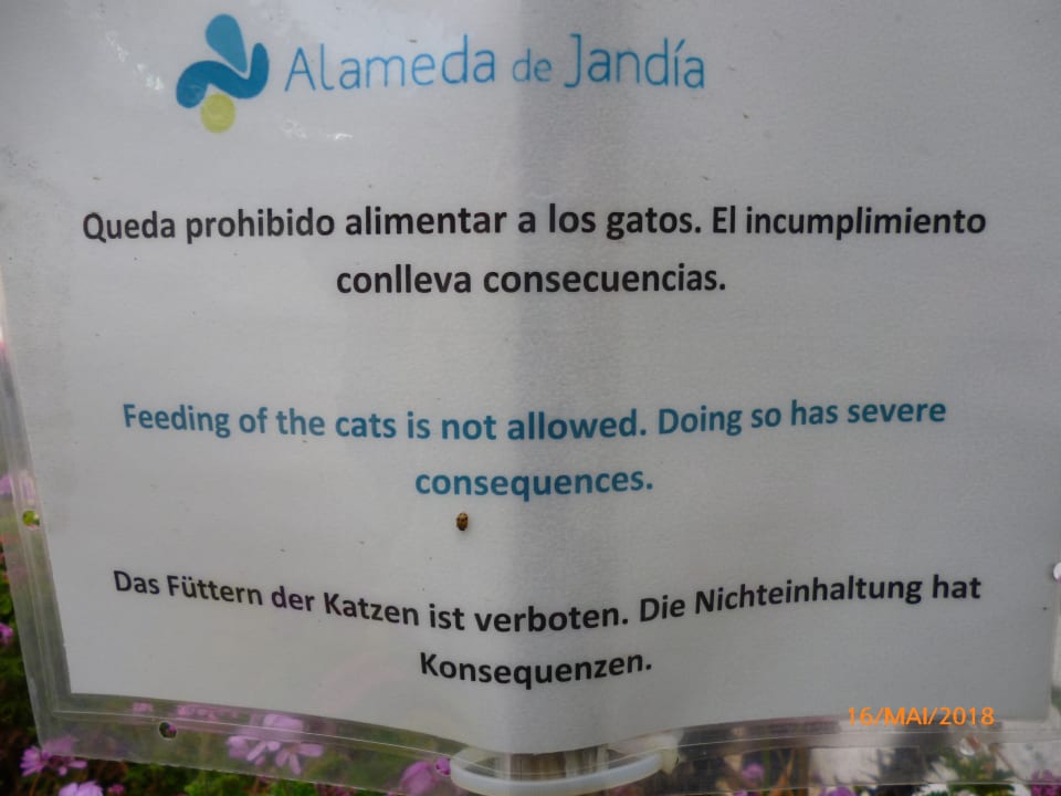 Sehr freundlich  Servatur Alameda de Jandía