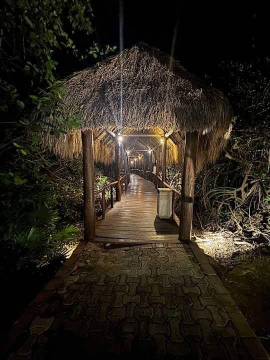 Gartenanlage TRS Yucatan Hotel - Adults only