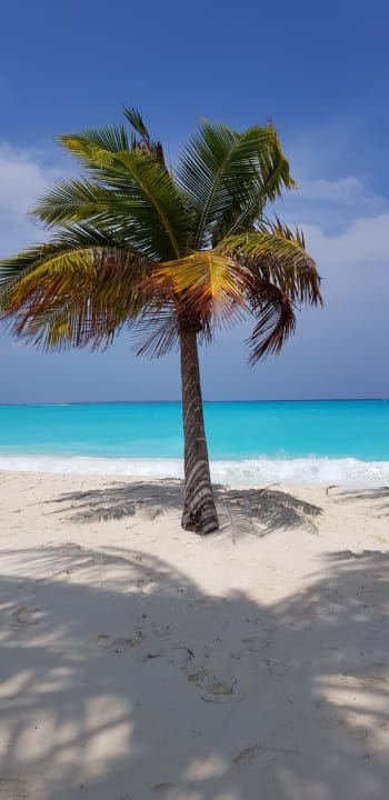 Strand Hondaafushi Island Resort