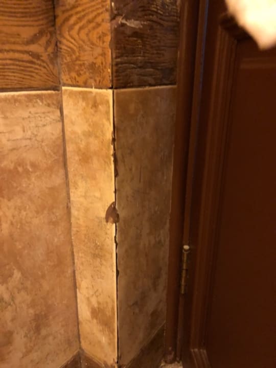 Zimmer Pickalbatros Citadel Resort