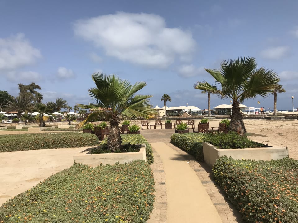 Gartenanlage Hotel Morabeza