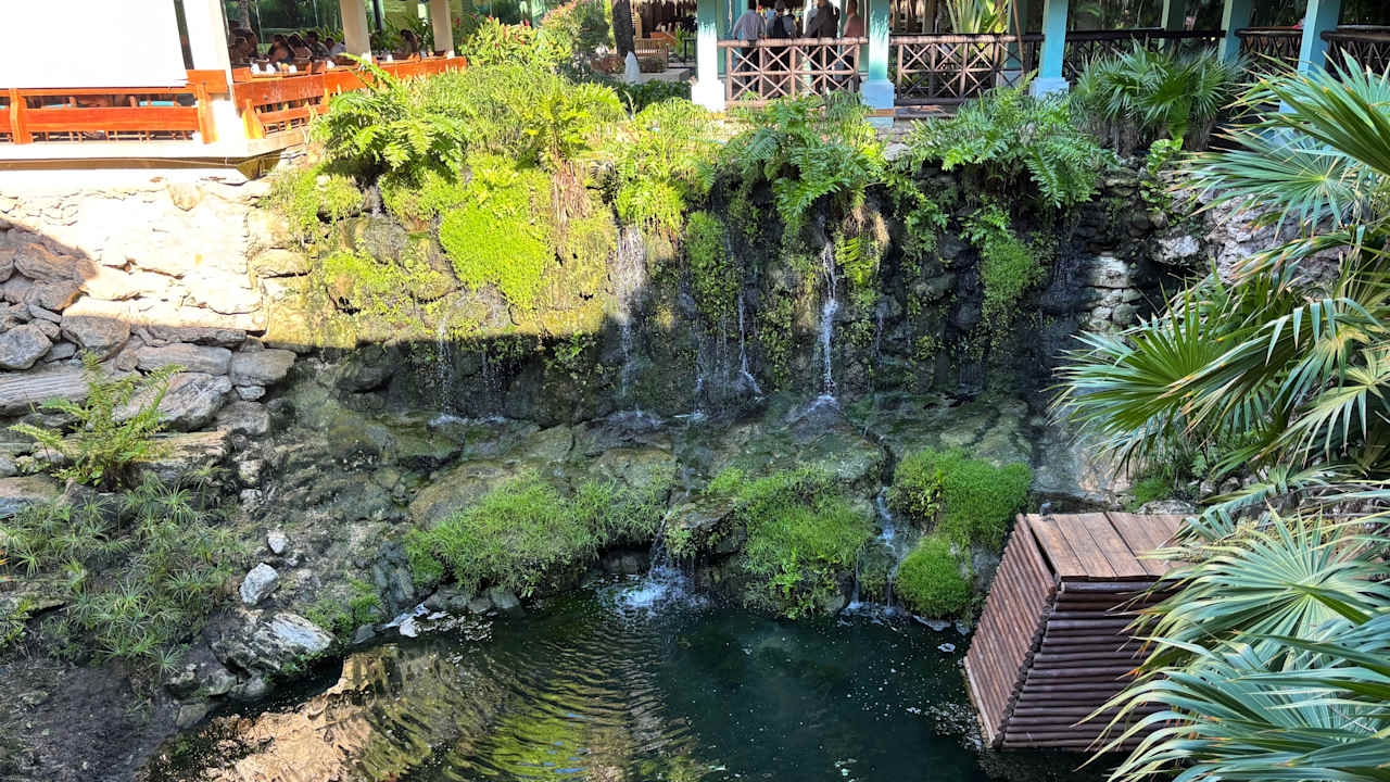 Gartenanlage Iberostar Waves Quetzal