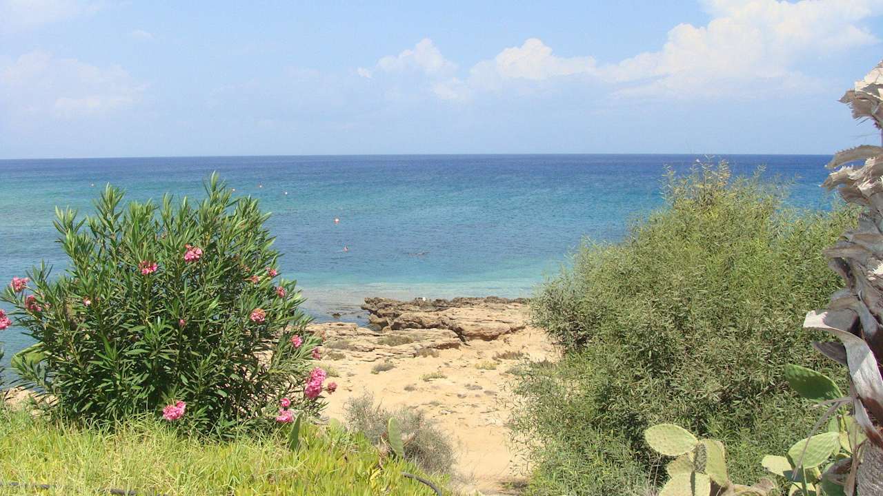 Výhled na moře ze zahrady Crystal Springs Beach Hotel