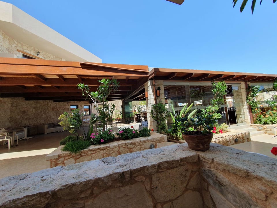 Ausblick Cactus Royal