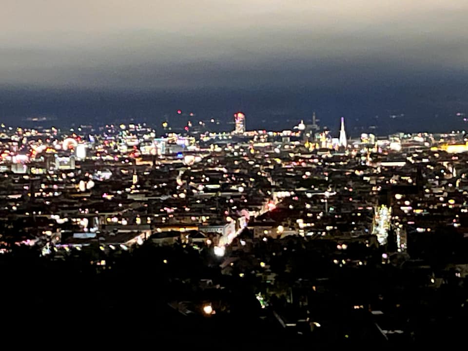 Ausblick Austria Trend Hotel Schloss Wilhelminenberg