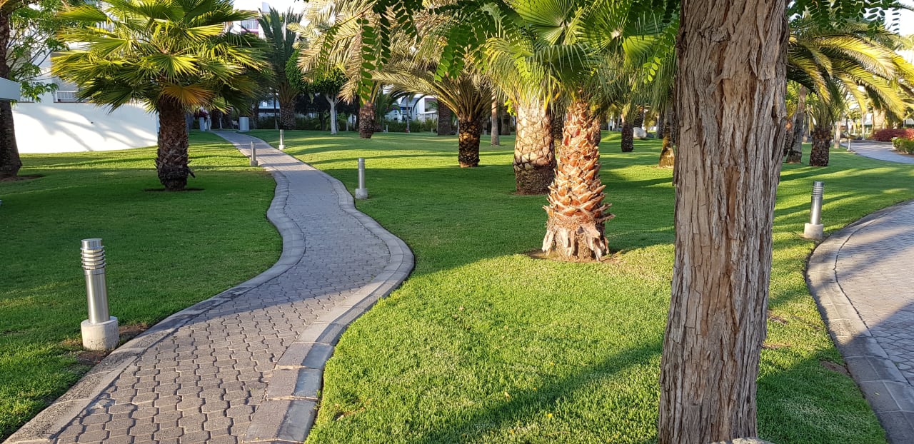 Gartenanlage Hotel Riu Gran Canaria