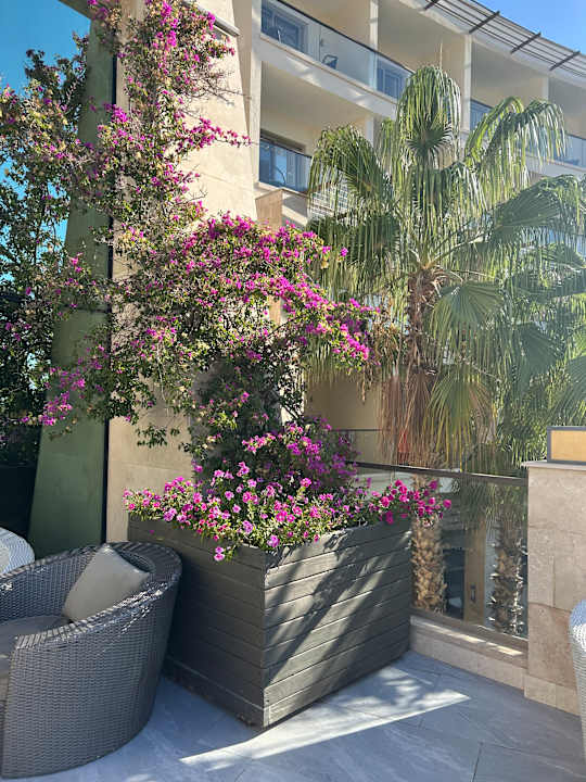 Gartenanlage Paloma Pasha