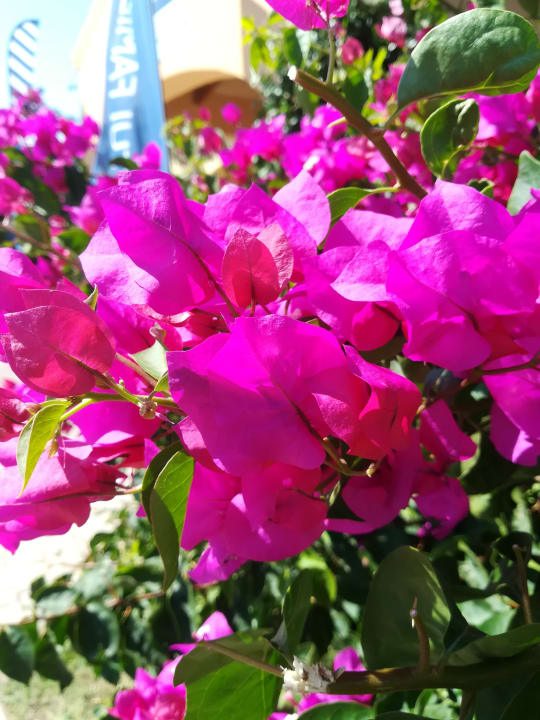 Sonstiges Janna e Sole Resort