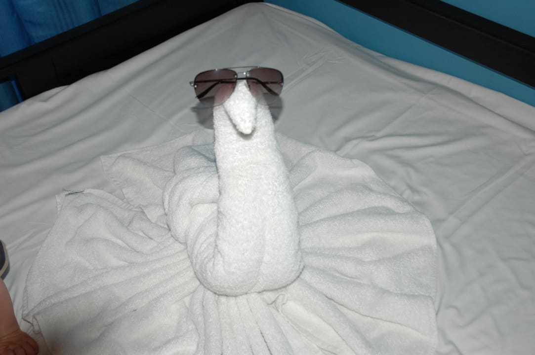 Hotel Grecian Park Parrotel Aqua Park Resort