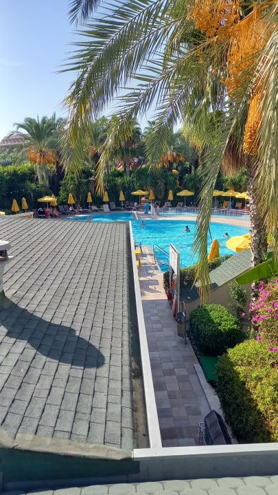 Pool Calimera Hane Garden